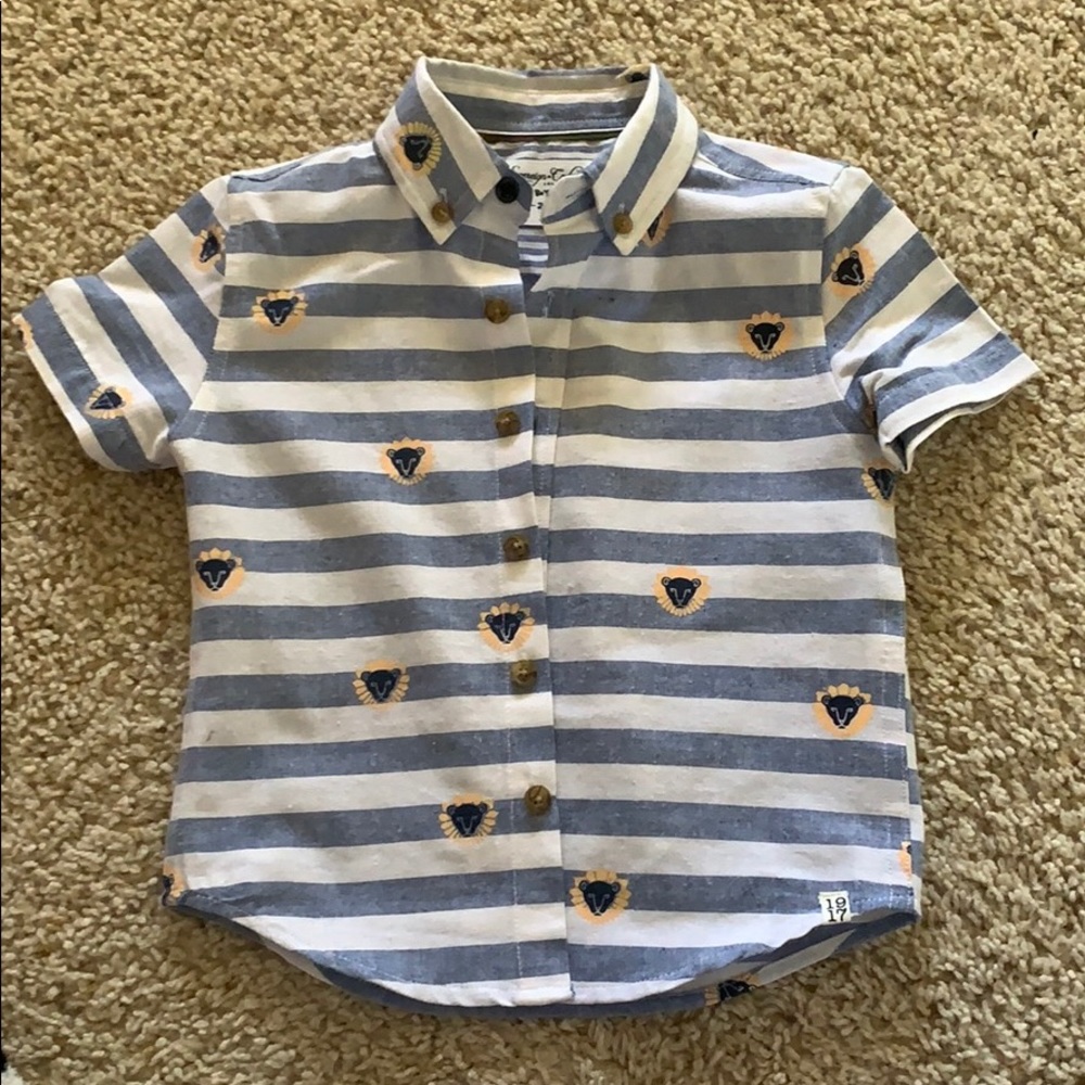 Cute lion boy shirt